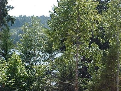 4th image of 7LOT Shorecrest Dr