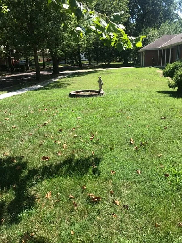 7926 Hedges Ave — Photo 3