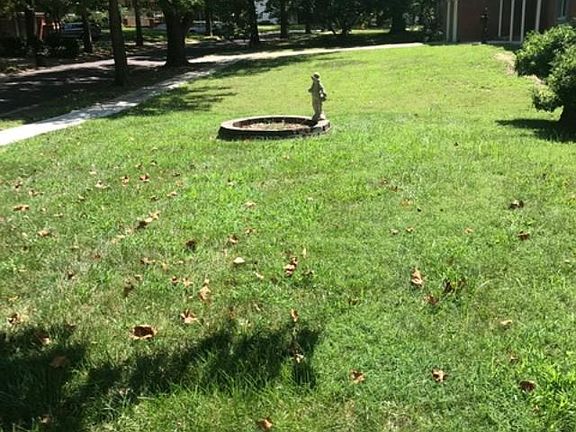 3rd image of 7926 Hedges Ave