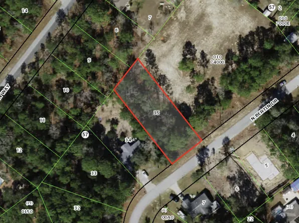 9131 N Bertin Drive, Citrus Springs, FL 34434