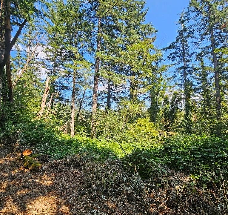 1st image of 0 Washougal River Rd #104