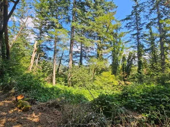 0 Washougal River Rd #104, Washougal, WA 98671
