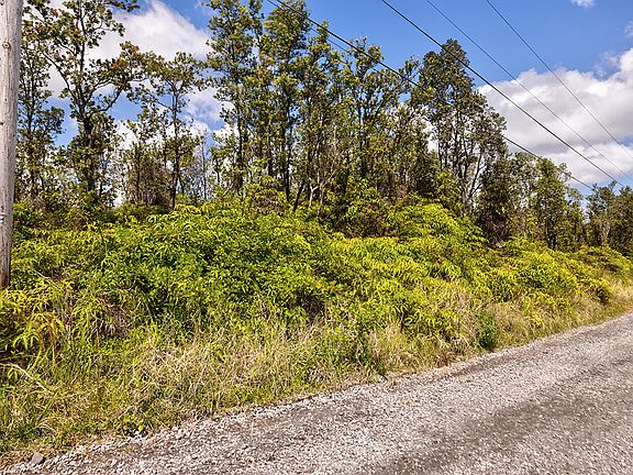 5th image of 11-2080 Omeka Rd Lot 69