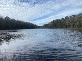 675 Lessie Culpepper Rd, Coffee Springs, AL 36318