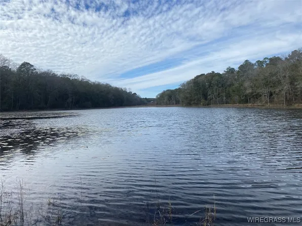 675 Lessie Culpepper Rd, Coffee Springs, AL 36318