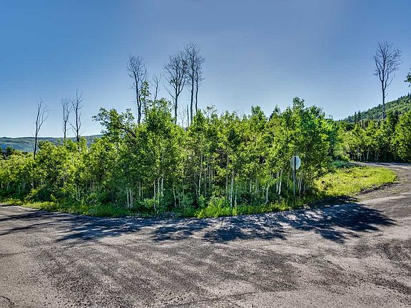 3rd image of 4928 Black Bear Ct