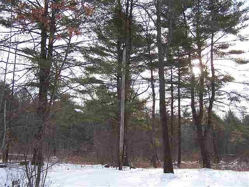2nd image of 128 FINCH Road