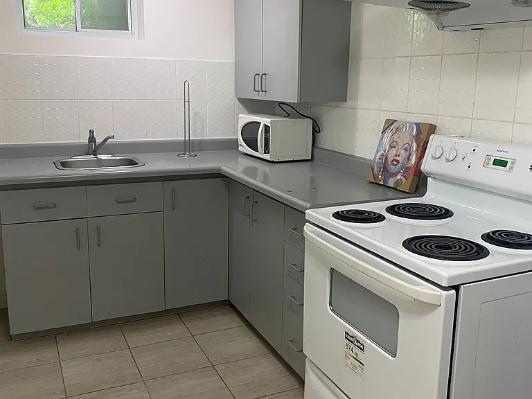 10 Sundridge Dr #BASEMENT — Photo 8