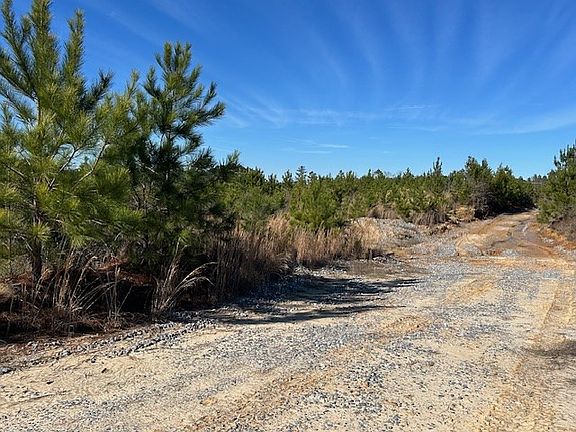 5th image of Chicora River Rd