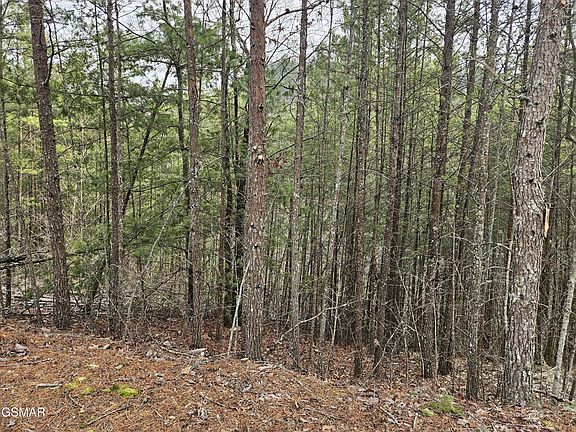 4th image of 0 S Clear Fork Rd Lot 28