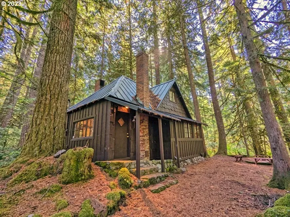 79128 E Road 35a Lot 42, Government Camp, OR 97028