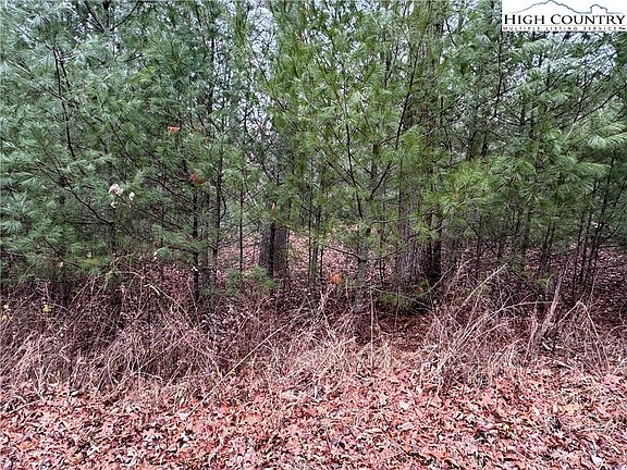 3rd image of Lot 7B Fernwood Lane
