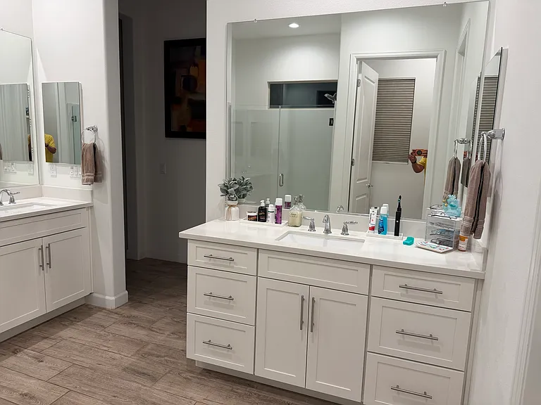 Master Bedroom Bathroom
