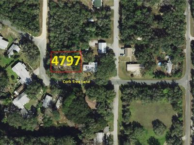 4797 E Cork Tree Ln, Hernando, FL, 34442