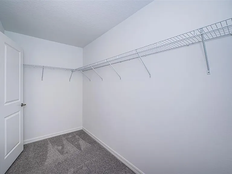 22310 Blazing Star Run Land — Photo 27