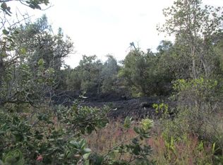 Ginger Blossom Ln LOT 12, Captain Cook, HI 96704