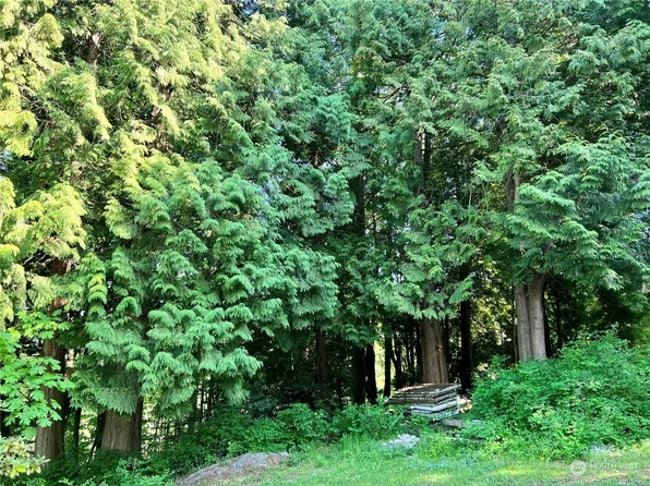 0 XXX Drayton Harbor Road, Blaine, WA 98230