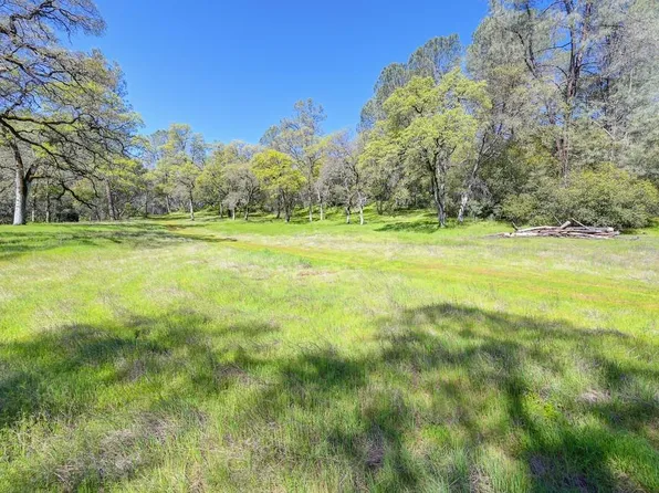 Five Oaks Way, Greenwood, CA 95635