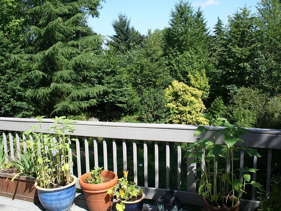 Back Deck