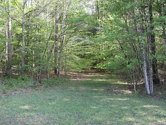 4th image of Austin Traphill Rd