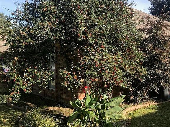 3rd image of 1227 Stonelake Dr