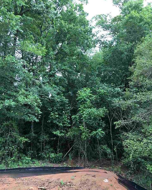2nd image of 505 E Winding Slope Dr Lot 32
