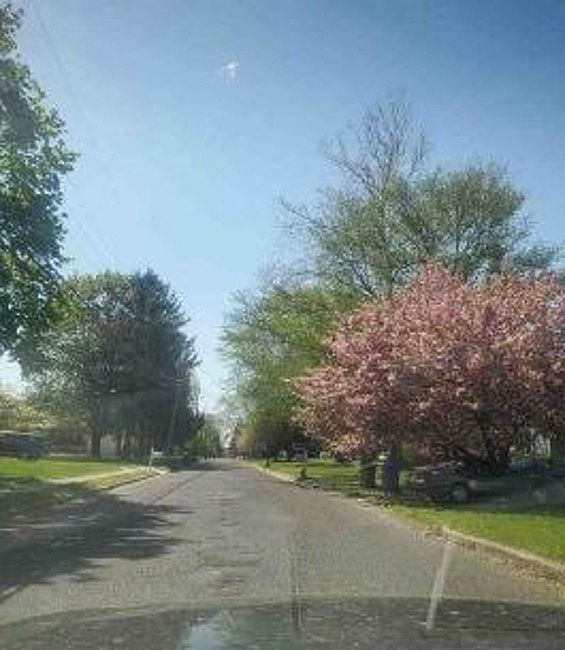 Exterior Neighborhood (street photo)