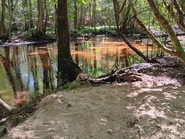 247 Horseshoe Trl, Barnwell, SC 29812