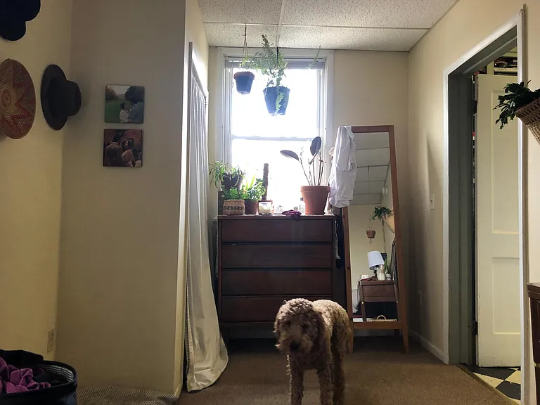 Bedroom towards closet & entry