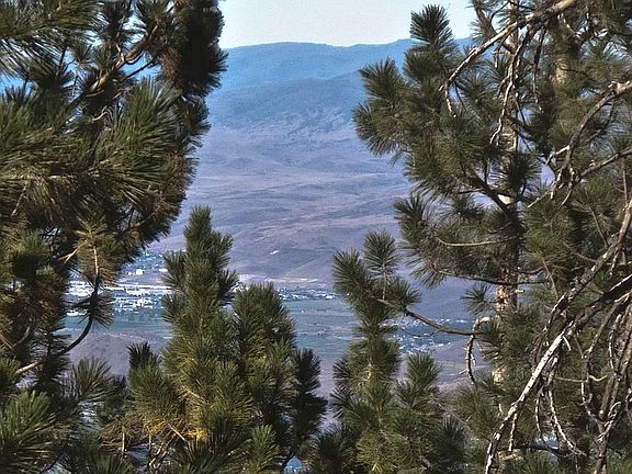 View to Reno/Washoe Valley 