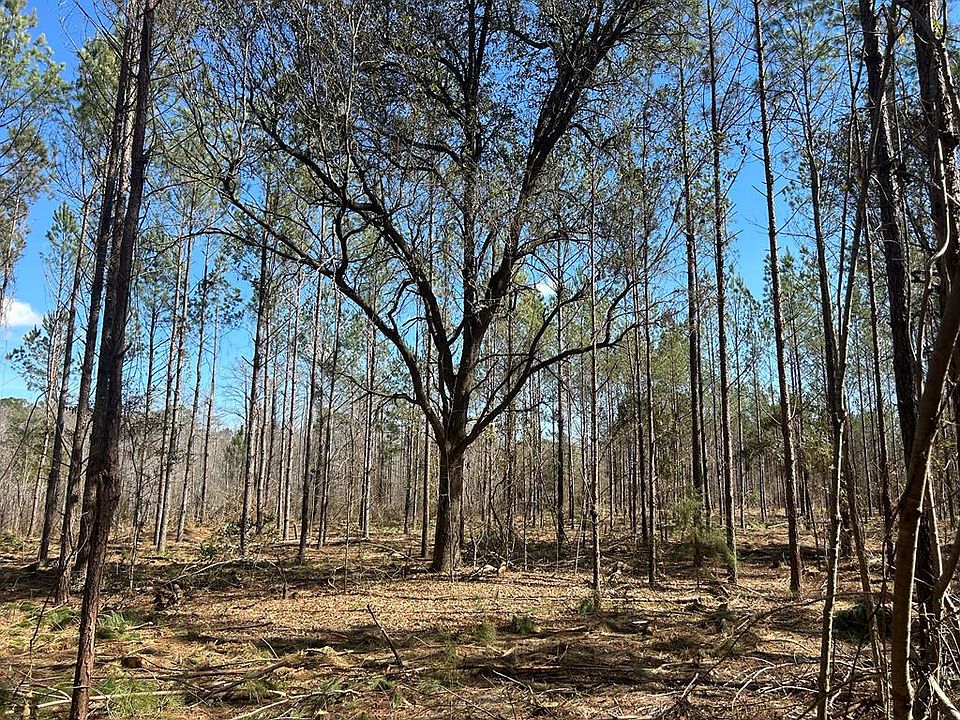 1st image of 4-13 Ac Cottonwood Rd