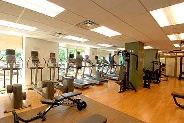 Rented by The Albanese Organization