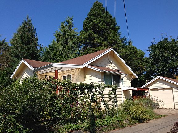 Pear Tree "Belgian Fence"