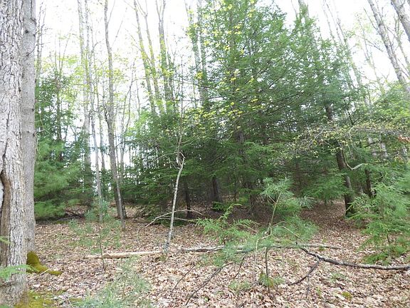 4th image of 367 Far Country Dr
