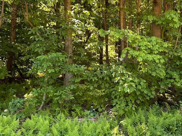 0 Kline Hollow Rd Lot 5, Liverpool, PA 17045