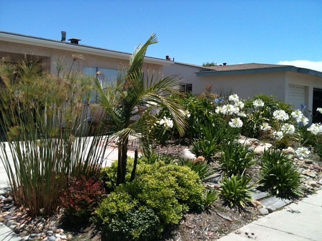 1st image of 3338 Idlewild Way