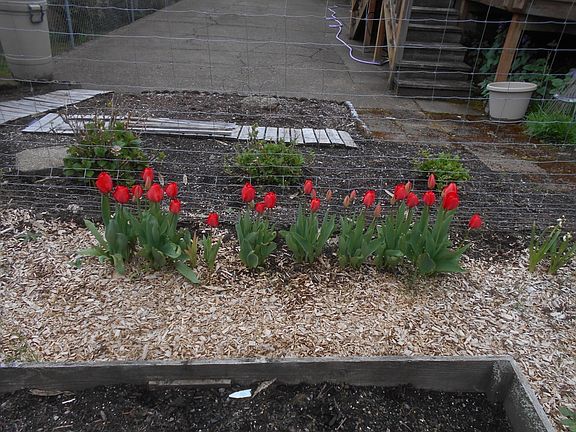 RV pad and garden meet