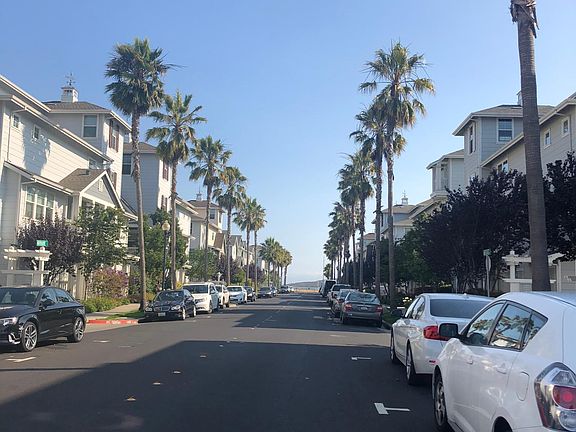 Beautiful palm street line area, right by the water