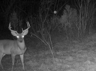 Reeves Rd, Garrison, TX 75946