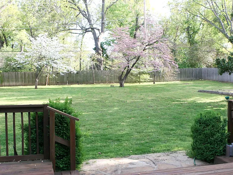 Back Yard