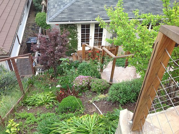 Landscaped backyard - 1