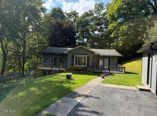 313 Rich Hollow Rd, Erwin, TN 37650