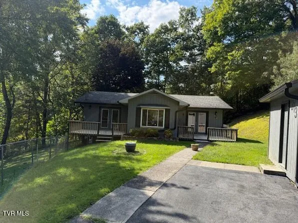 313 Rich Hollow Rd, Erwin, TN 37650