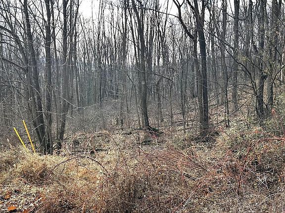 4th image of LOT 17 Weaver Woods Rd