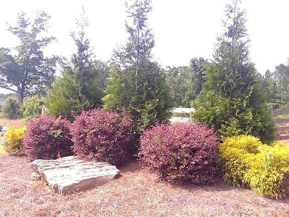 3rd image of 404 Fredrick Dr