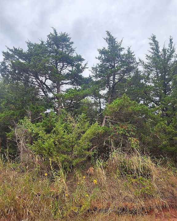 W Fortune 24, Langston, OK 73050 MLS 1084168 Zillow