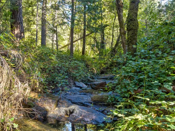 26672 Old Loggers Ln, Colfax, CA 95713