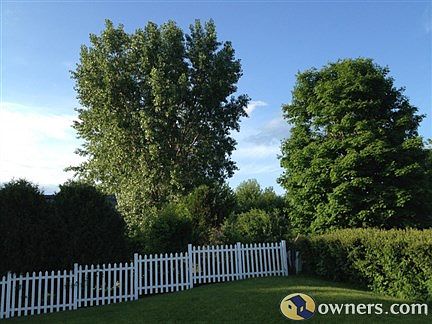 Mature trees nearby