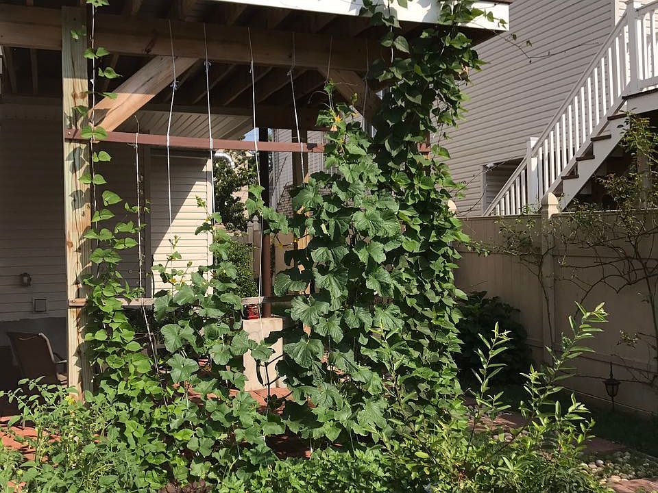 2nd image of 260 Boundary Ave