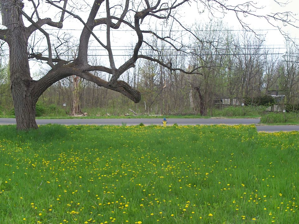 2nd image of 6621 W Port Bay Rd